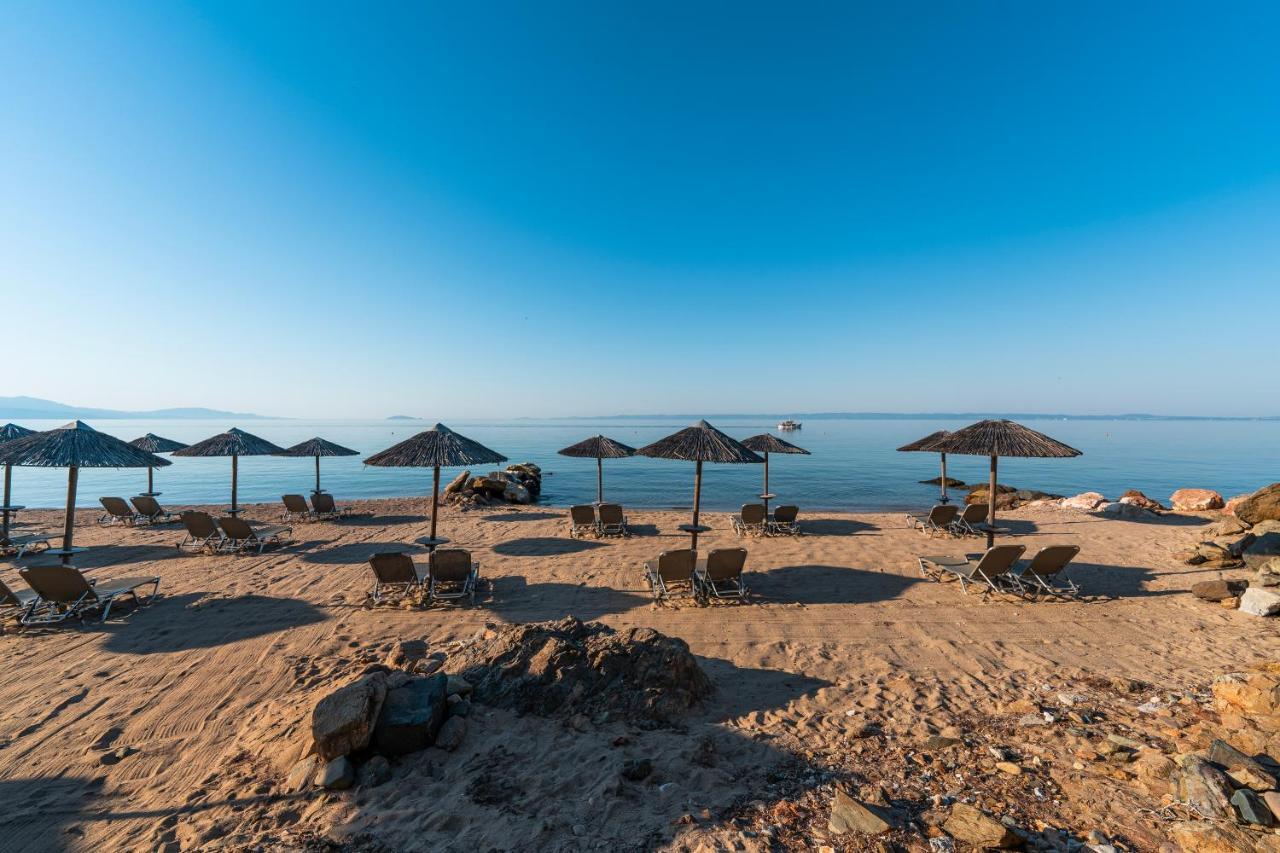 Blue Dolphin 4* Metamorfosi (Sithonia)