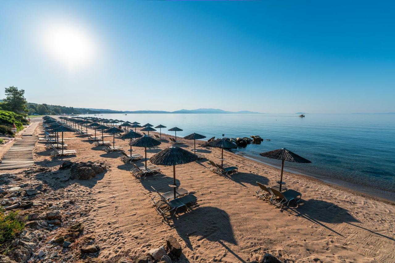 Resort Blue Dolphin Metamorfosi (Sithonia)
